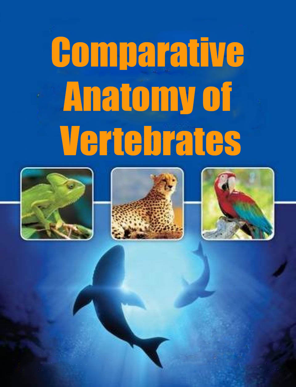 comparative-anatomy-zoo441-zoology